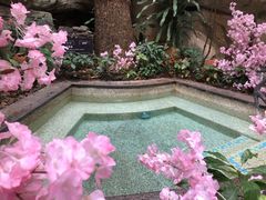 -海口观澜湖火山温泉谷