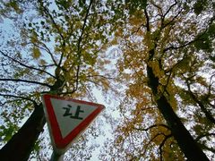 -岳麓山风景名胜区