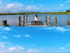 -瀛洲公园