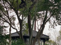 -上海佘山国家森林公园天马山园