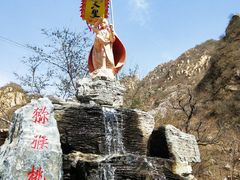 -大岭沟猕猴桃谷风景区