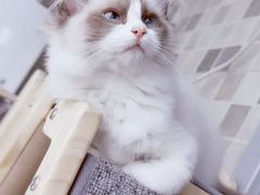 -美迦爱-牙专科·兔科·骨科诊疗中心(北苑店)