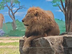 -秦皇岛野生动物园