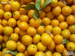 -卜蜂莲花(杨高南路店)