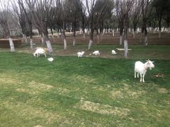 -嘉兴清池酒店温泉