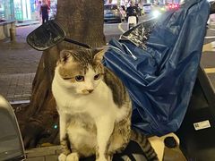 -福州开元寺