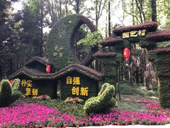 -东平国家森林公园
