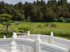 -南阳卧龙岗武侯祠
