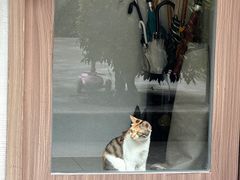 -Again Coffee Roaster(香蜜湖店)