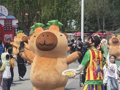 -北戴河集发农业梦想王国
