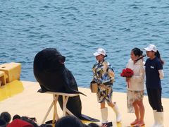 -秦皇岛乐岛海洋王国