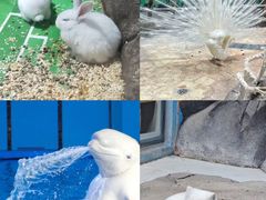 -海合安青岛极地海洋公园