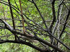 景点-西溪国家湿地公园