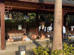 -林丰温泉度假山庄