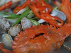 -亲昵春川鸡排(韩国美食街店)