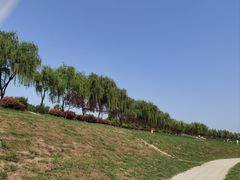 -洨河生态公园