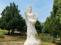 -北京西山国家森林公园