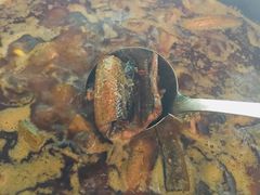 -金海椒罐罐鲢鱼(东方桂苑店)