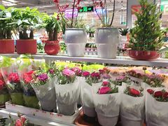 -大润发(高鑫广场店)