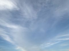 -金鸡湖景区