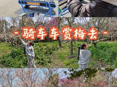 -上海海湾国家森林公园