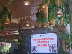-野象谷景区