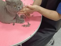 -宠福鑫康馨动物医院·骨科·眼科