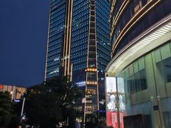 -长沙小天鹅戴斯酒店