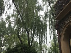 -思念果岭悦温泉