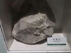 -浙江自然博物院(杭州馆)