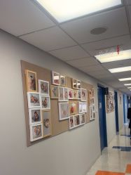 -杭州贝瑞斯美华妇儿医院·早孕·产检·儿科