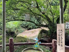 -赤水丹霞旅游区·佛光岩