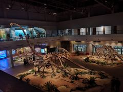 -自贡恐龙博物馆