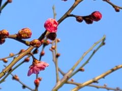 -北京明城墙遗址公园