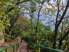 -抚仙湖禄充风景区