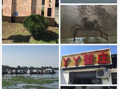 -丫丫蟹庄·苏式园林农家乐·阳澄湖大闸蟹(阳澄湖莲花岛店)