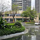 又下雨了，广州