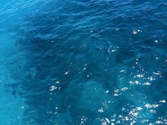 -蚝翅·海鲜粥·烧烤·宁夏滩羊季(玉米楼店)