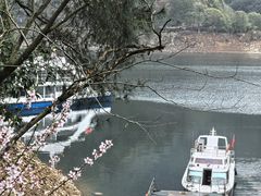 -千岛湖希尔顿休闲艇俱乐部