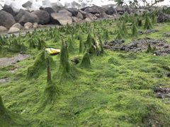 -薛记襄阳香辣牛肉面(平安路店)