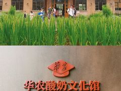 -华农酸奶文化馆