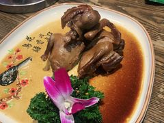 -大鸽饭(马王堆店)
