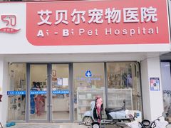 -艾贝尔宠物医院·狂犬免疫点(江山金象城店)