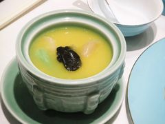 红花汁松露煨花胶-阿五黄河大鲤鱼(纬三路店)