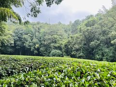 -敬亭山风景名胜区