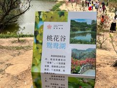 -南国桃园旅游度假区