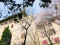 -武汉大学-樱园