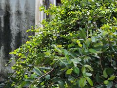 -丝绸小镇荻港古村