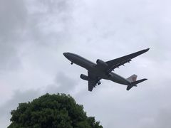 -空港花田景区