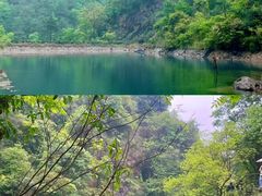 -大奇山国家森林公园